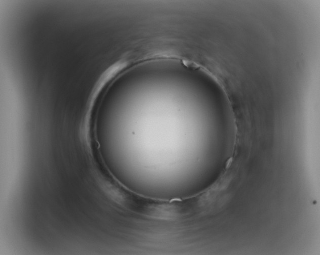 X0000114400104200910231117