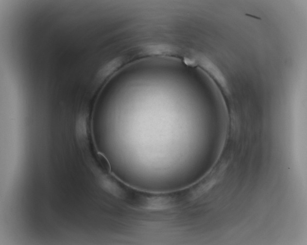 X0000114400105200910231117