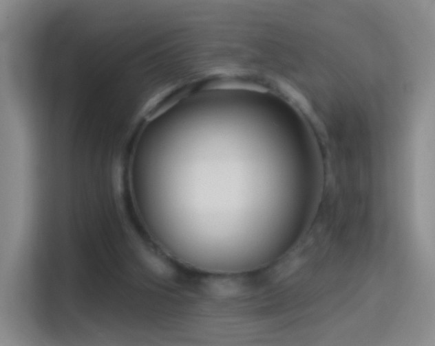 X0000114400106200910231117