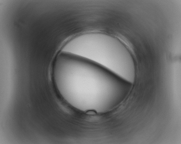 X0000114400107200910231117