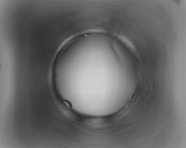 X0000114400108200910231117