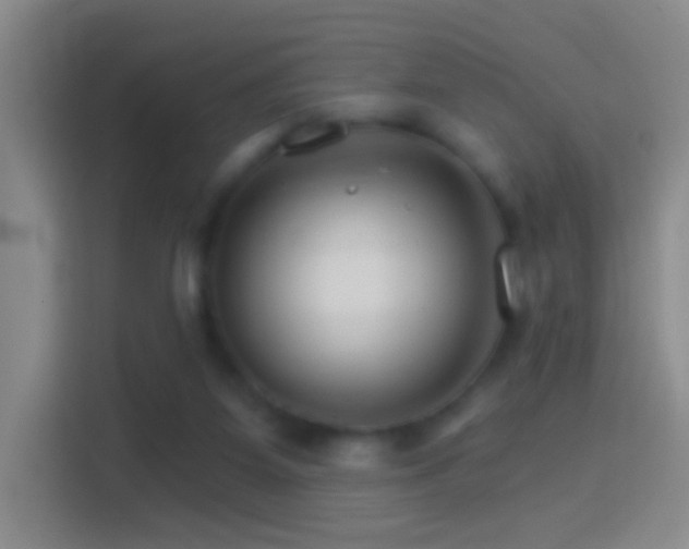 X0000114400115200910231117