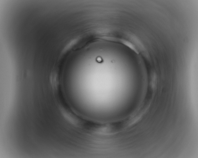 X0000114400116200910231117