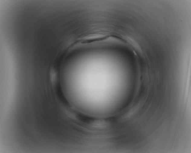 X0000114400123200910231117