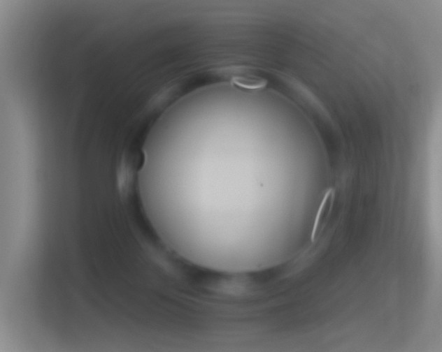 X0000114400124200910231117