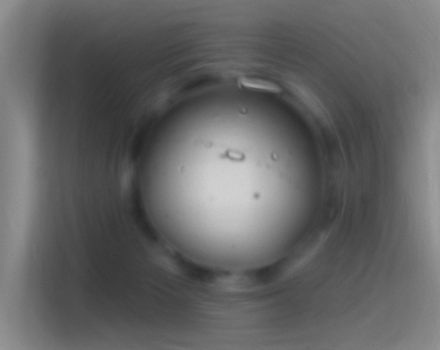 X0000114400125200910231117