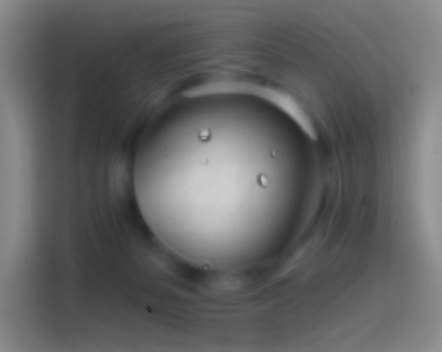 X0000114400127200910231117