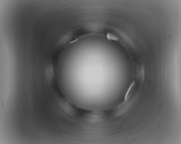 X0000114400128200910231117