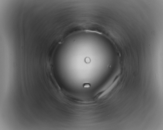 X0000114400129200910231117