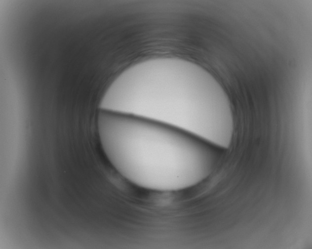 X0000114400131200910231117