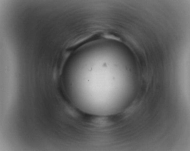 X0000114400132200910231117