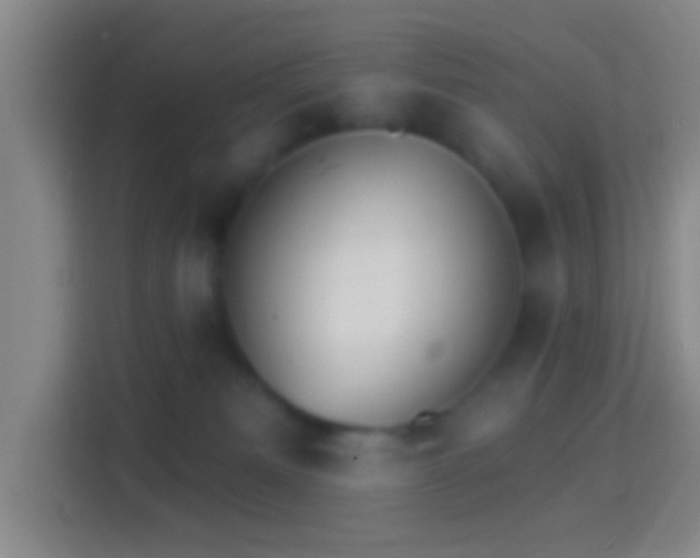 X0000114400133200910231117