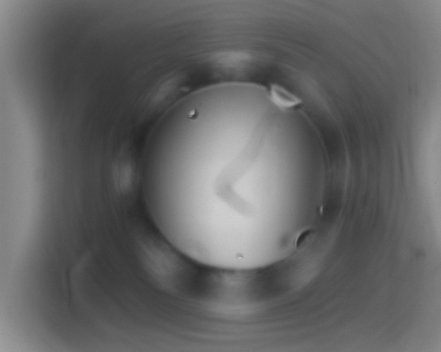 X0000114400134200910231117