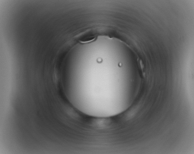 X0000114400135200910231117