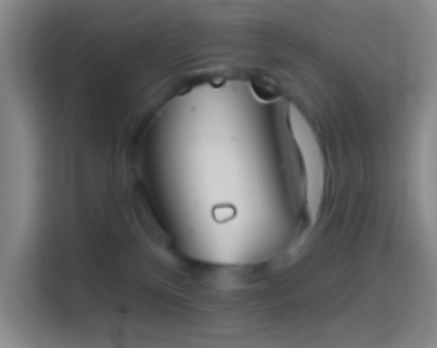 X0000114400136200910231117