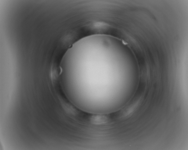 X0000114400137200910231117