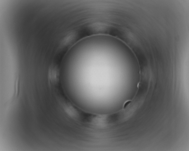 X0000114400138200910231117