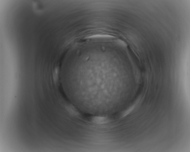 X0000114400139200910231117