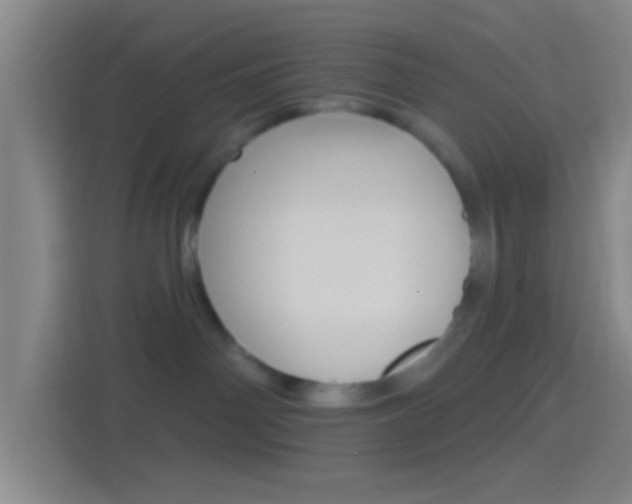 X0000114400142200910231117