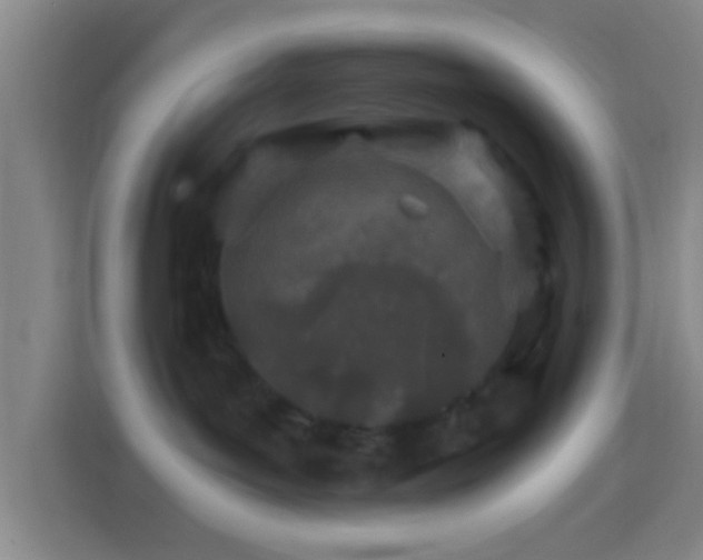 X0000114400143200910231117