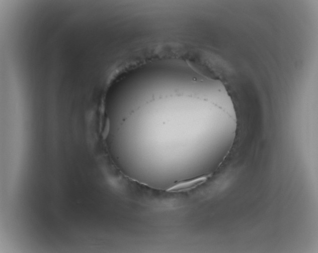 X0000114400144200910231117