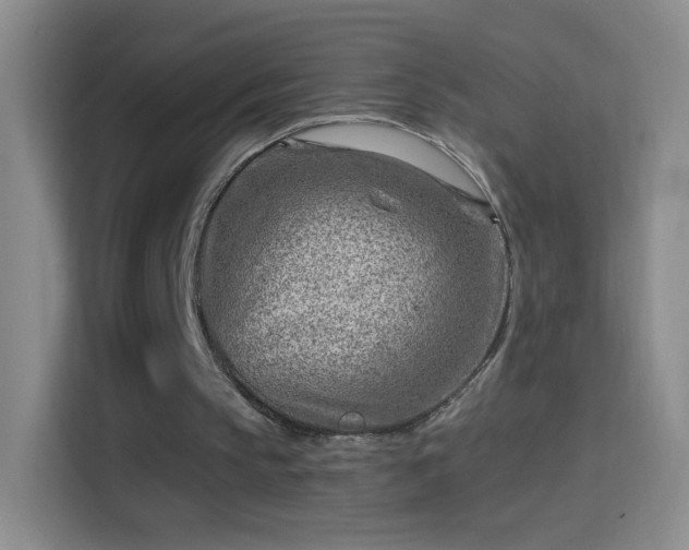 X0000114400145200910231116