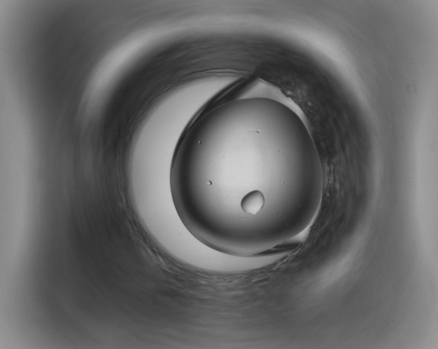 X0000114400146200910231116