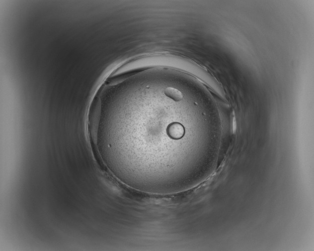 X0000114400147200910231116