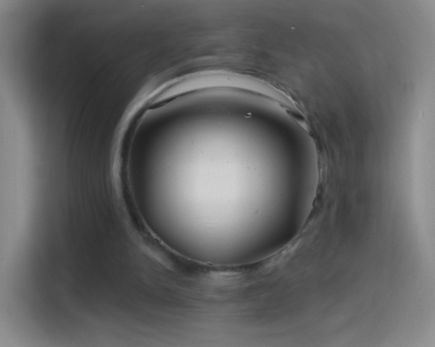 X0000114400150200910231116