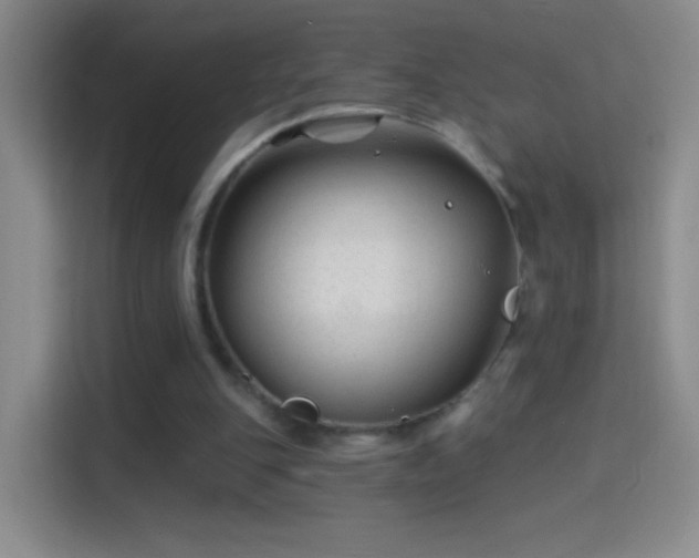 X0000114400151200910231116