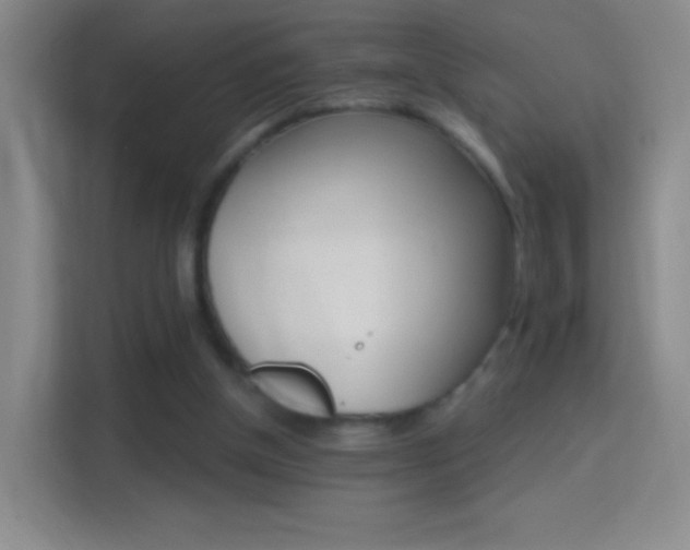 X0000114400154200910231116