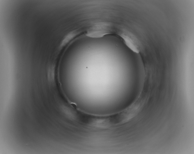 X0000114400155200910231116