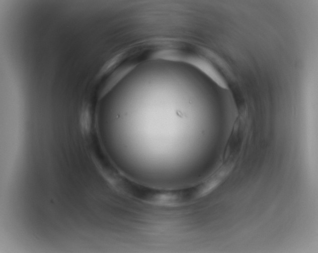 X0000114400158200910231116