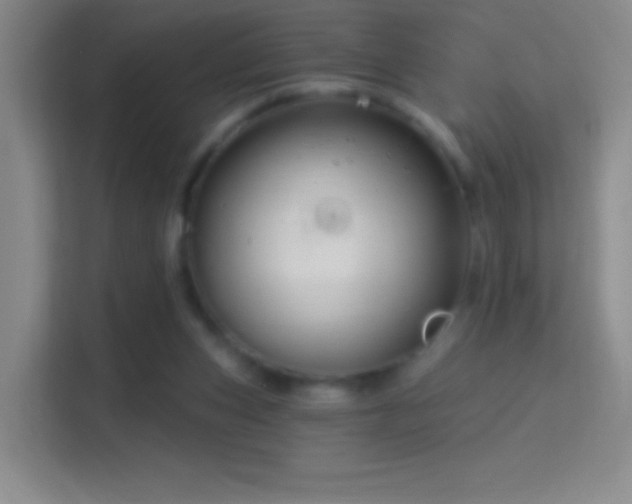 X0000114400159200910231116