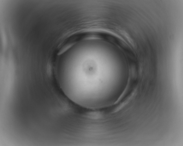 X0000114400161200910231116