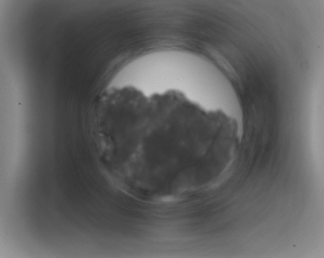 X0000114400163200910231116