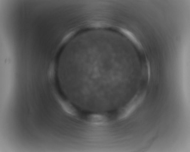 X0000114400167200910231116