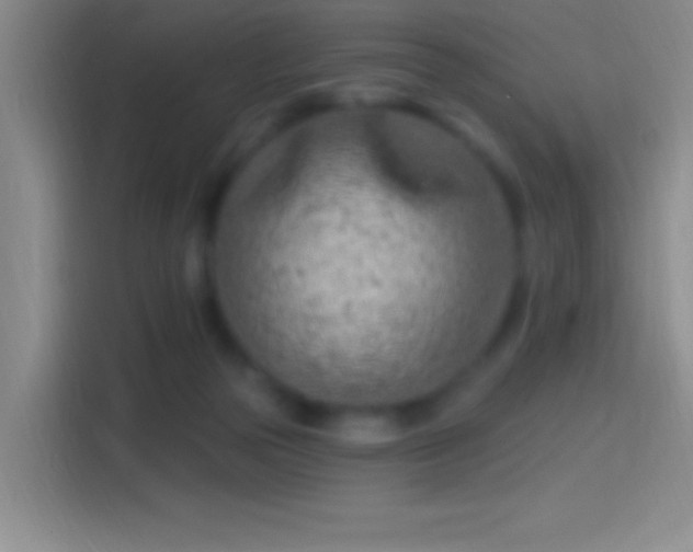 X0000114400169200910231116