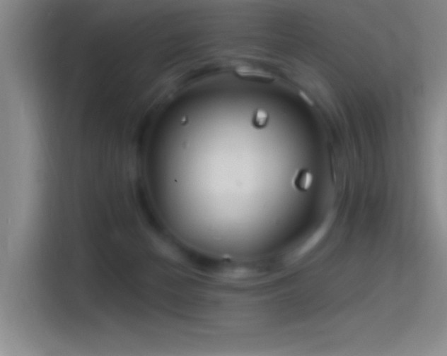 X0000114400174200910231117