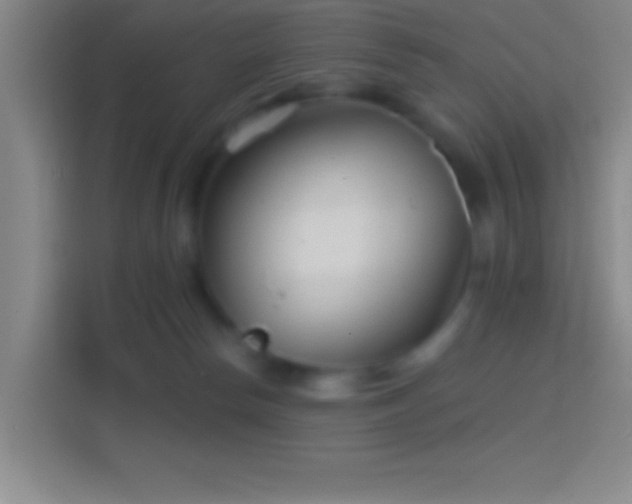 X0000114400178200910231117