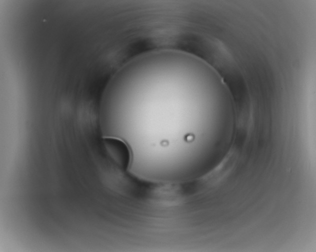 X0000114400179200910231117