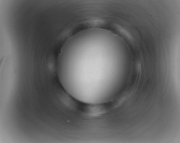 X0000114400181200910231117