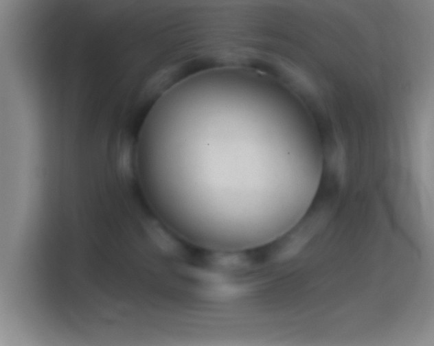 X0000114400185200910231117