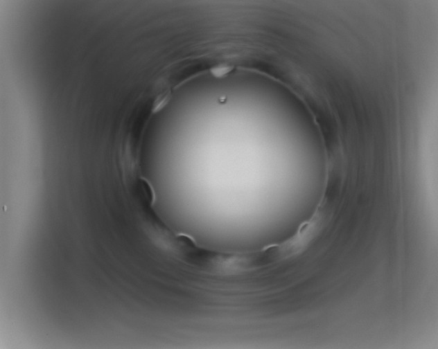 X0000114400186200910231117