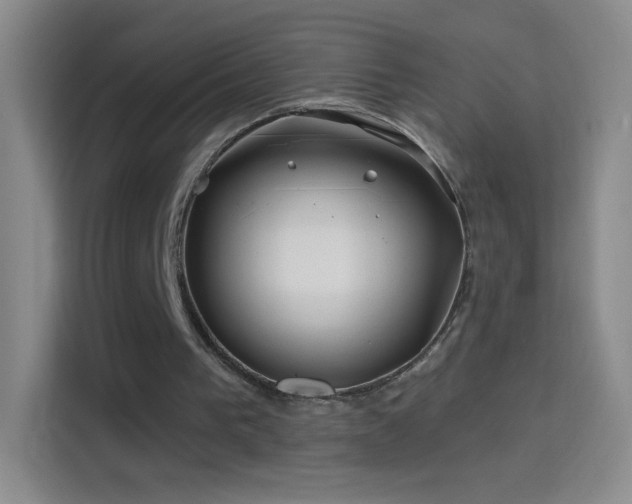 X0000114400193200910231116