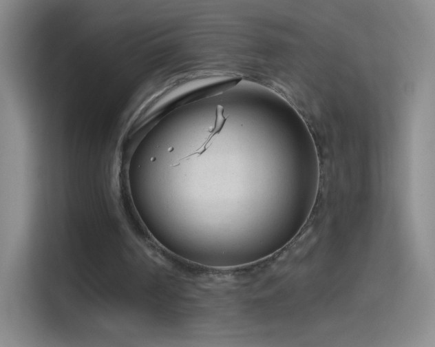 X0000114400194200910231116