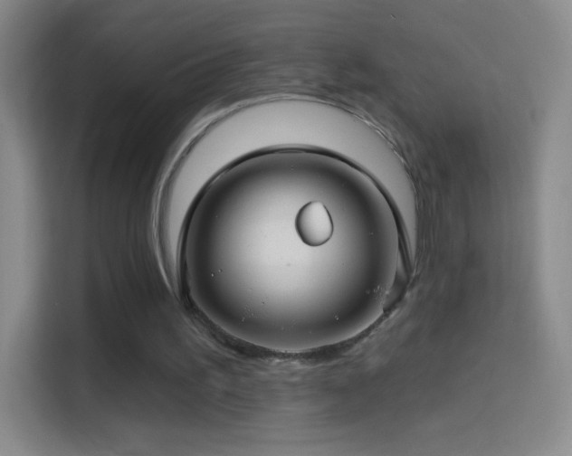 X0000114400195200910231116