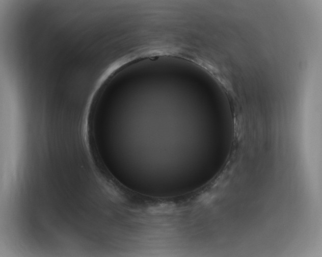 X0000114400196200910231116