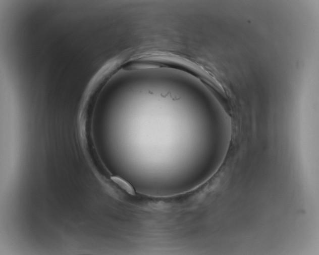 X0000114400197200910231116