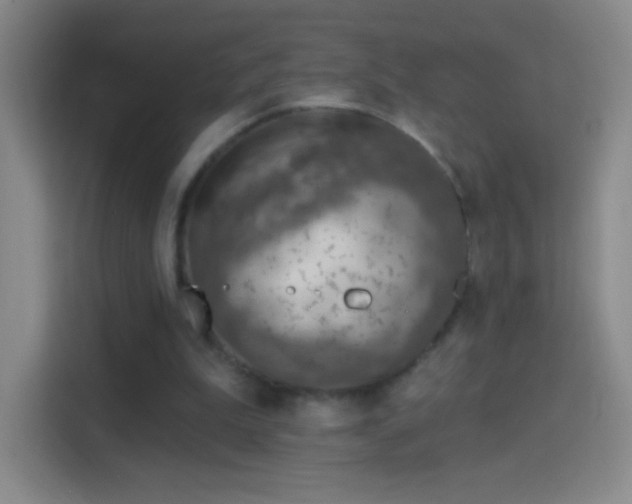 X0000114400199200910231116